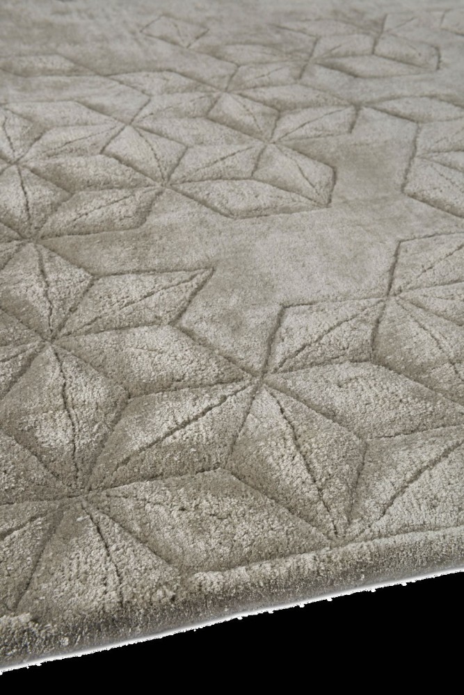 Star Silk Oyster
