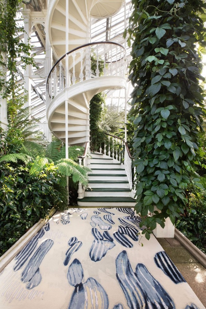 Poplar Indigo