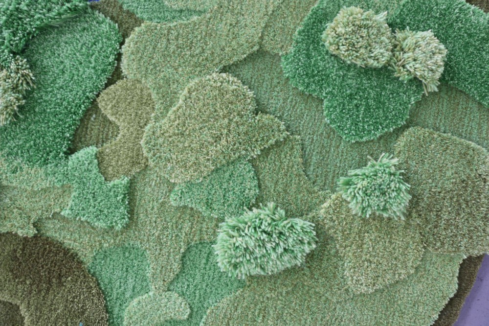 moss carpet